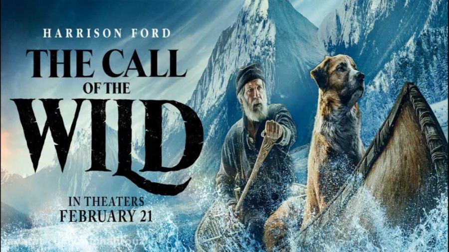 2024 07 callofthewild